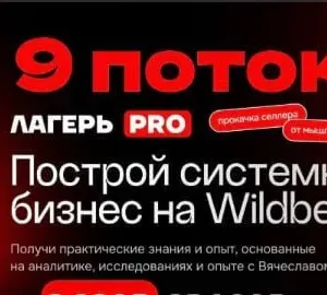 Курс «Лагерь PRO 9.0»